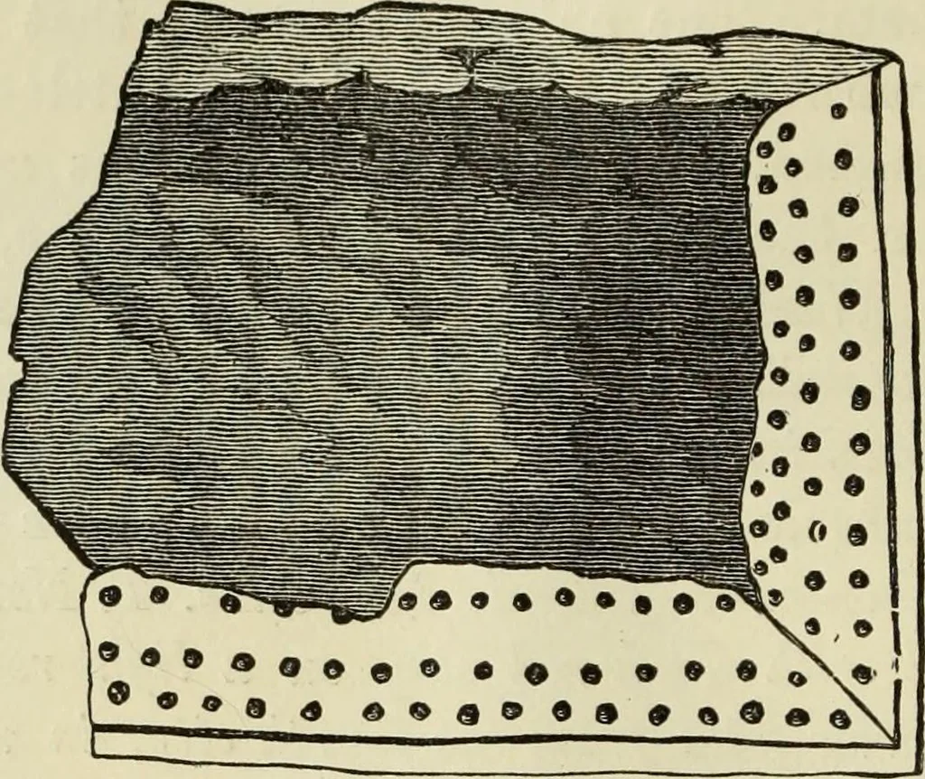 An illustration from Ilios; the city and country of the Trojans. The results of researches and discoveries on the site of Troy and throughout the Troad in the years 1871-72-73-78-79, including an autobiography of the author, 1880, leaf 251