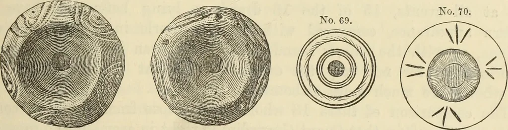 An illustration from Ilios; the city and country of the Trojans. The results of researches and discoveries on the site of Troy and throughout the Troad in the years 1871-72-73-78-79, including an autobiography of the author, 1880, leaf 254