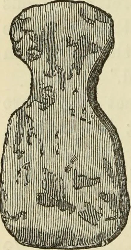 An illustration from Ilios; the city and country of the Trojans. The results of researches and discoveries on the site of Troy and throughout the Troad in the years 1871-72-73-78-79, including an autobiography of the author, 1880, leaf 257