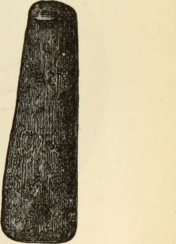An illustration from Ilios; the city and country of the Trojans. The results of researches and discoveries on the site of Troy and throughout the Troad in the years 1871-72-73-78-79, including an autobiography of the author, 1880, leaf 260