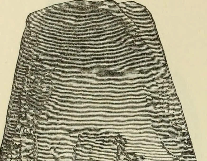 An illustration from Ilios; the city and country of the Trojans. The results of researches and discoveries on the site of Troy and throughout the Troad in the years 1871-72-73-78-79, including an autobiography of the author, 1880, leaf 261
