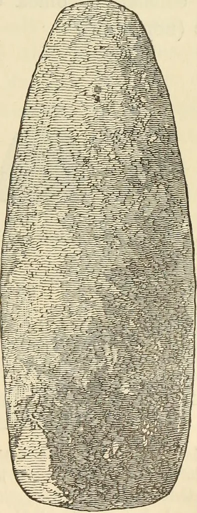 An illustration from Ilios; the city and country of the Trojans. The results of researches and discoveries on the site of Troy and throughout the Troad in the years 1871-72-73-78-79, including an autobiography of the author, 1880, leaf 262