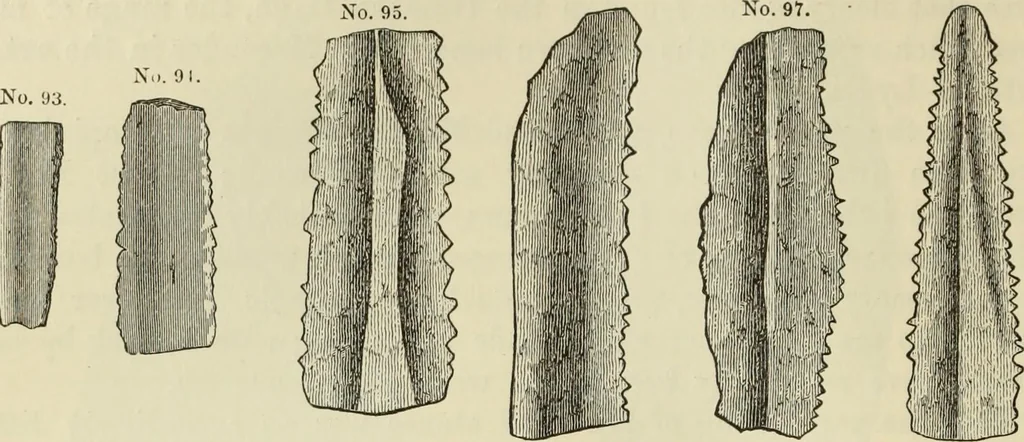 An illustration from Ilios; the city and country of the Trojans. The results of researches and discoveries on the site of Troy and throughout the Troad in the years 1871-72-73-78-79, including an autobiography of the author, 1880, leaf 271