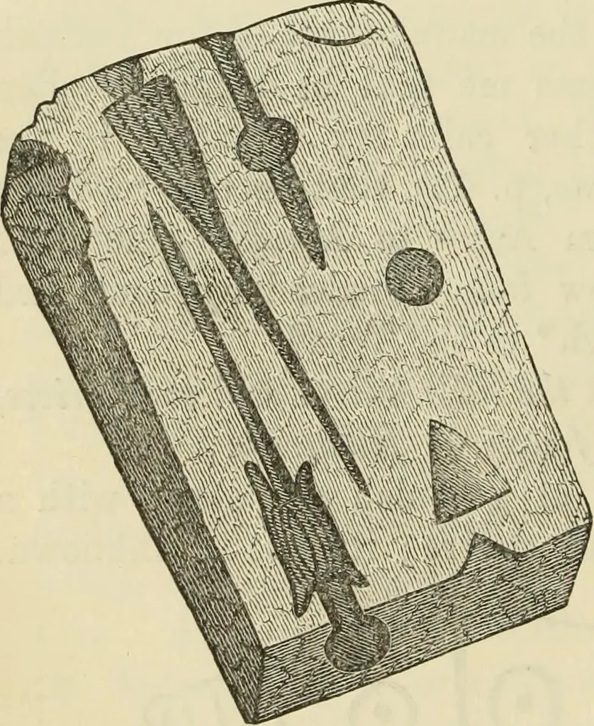 An illustration from Ilios; the city and country of the Trojans. The results of researches and discoveries on the site of Troy and throughout the Troad in the years 1871-72-73-78-79, including an autobiography of the author, 1880, leaf 273