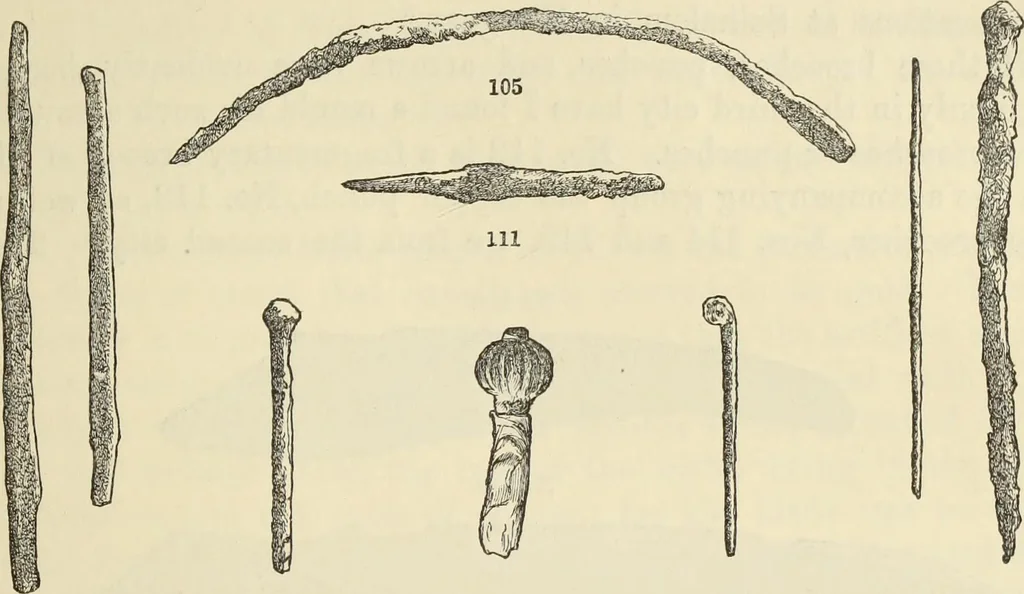 An illustration from Ilios; the city and country of the Trojans. The results of researches and discoveries on the site of Troy and throughout the Troad in the years 1871-72-73-78-79, including an autobiography of the author, 1880, leaf 274