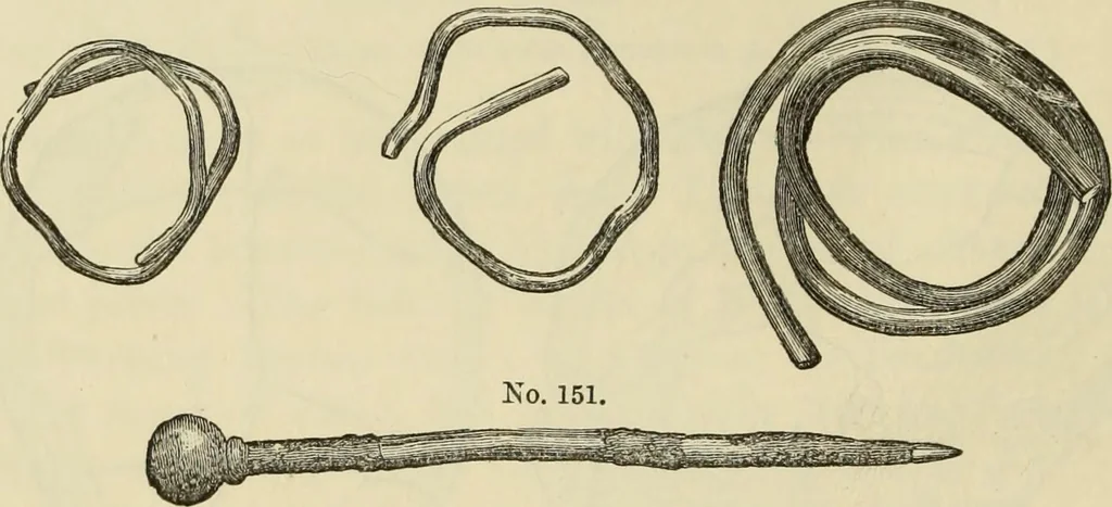 An illustration from Ilios; the city and country of the Trojans. The results of researches and discoveries on the site of Troy and throughout the Troad in the years 1871-72-73-78-79, including an autobiography of the author, 1880, leaf 301