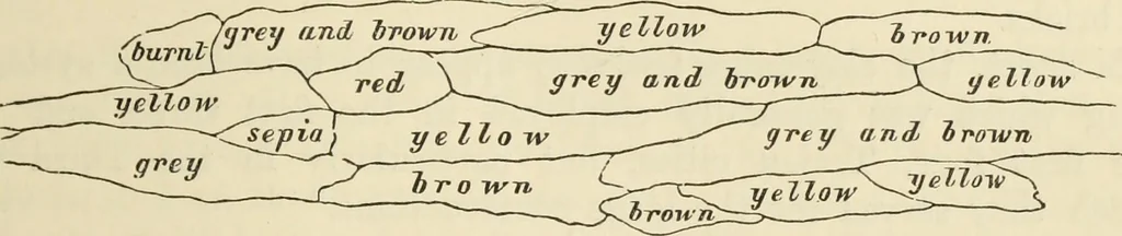 An illustration from Ilios; the city and country of the Trojans. The results of researches and discoveries on the site of Troy and throughout the Troad in the years 1871-72-73-78-79, including an autobiography of the author, 1880, leaf 336