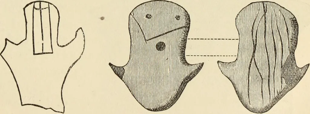 An illustration from Ilios; the city and country of the Trojans. The results of researches and discoveries on the site of Troy and throughout the Troad in the years 1871-72-73-78-79, including an autobiography of the author, 1880, leaf 360