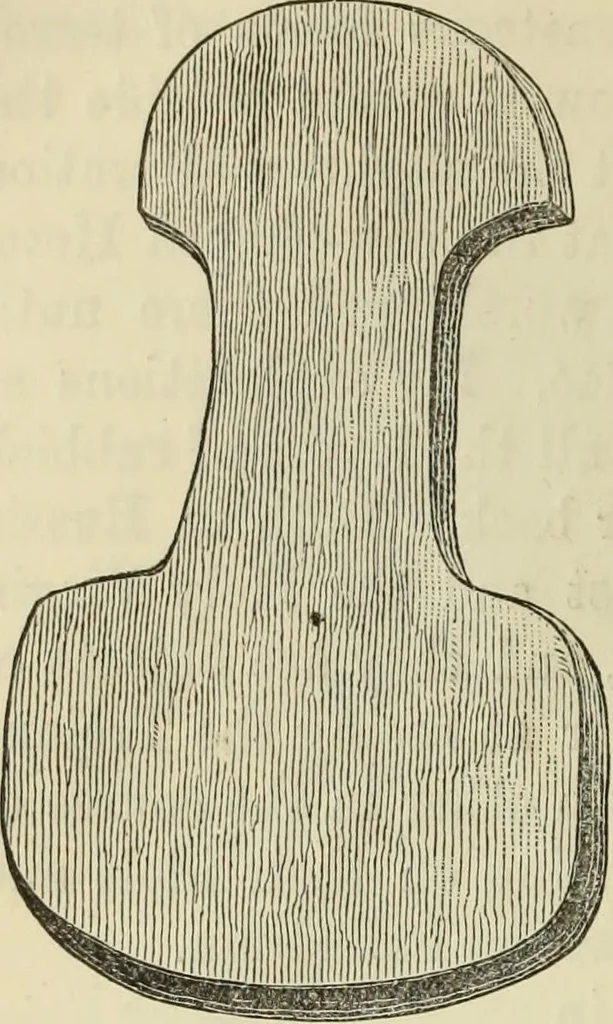 An illustration from Ilios; the city and country of the Trojans. The results of researches and discoveries on the site of Troy and throughout the Troad in the years 1871-72-73-78-79, including an autobiography of the author, 1880, leaf 361