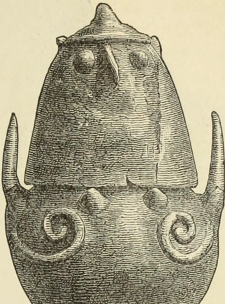 An illustration from Ilios; the city and country of the Trojans. The results of researches and discoveries on the site of Troy and throughout the Troad in the years 1871-72-73-78-79, including an autobiography of the author, 1880, leaf 370
