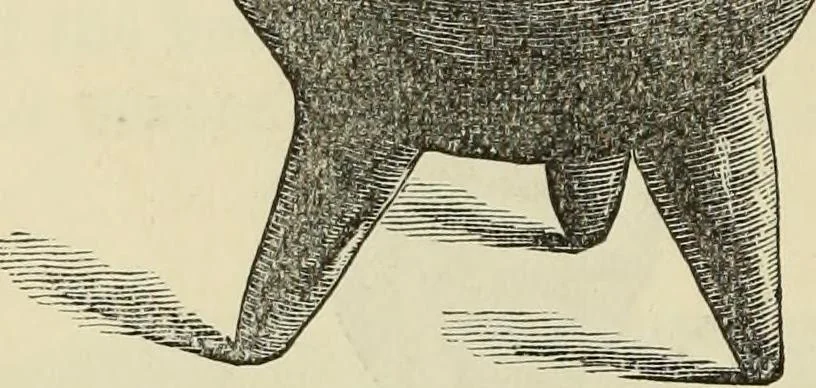 An illustration from Ilios; the city and country of the Trojans. The results of researches and discoveries on the site of Troy and throughout the Troad in the years 1871-72-73-78-79, including an autobiography of the author, 1880, leaf 391