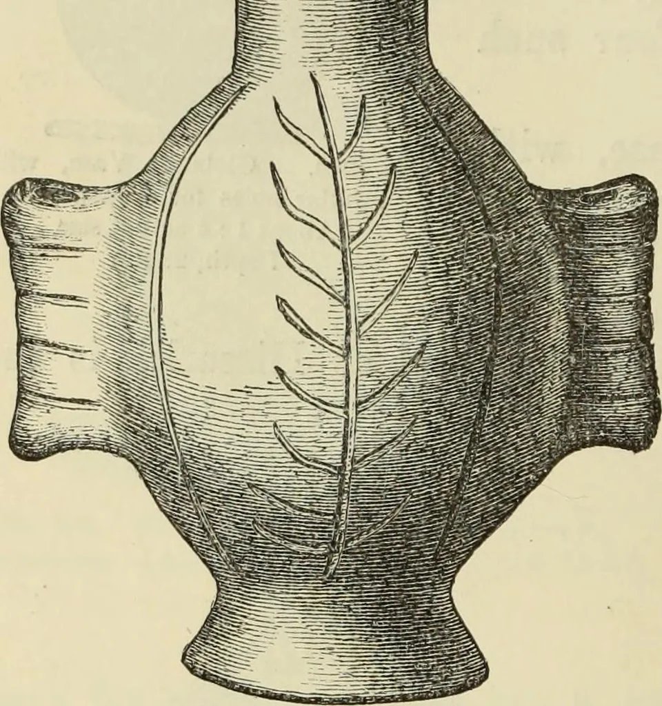 An illustration from Ilios; the city and country of the Trojans. The results of researches and discoveries on the site of Troy and throughout the Troad in the years 1871-72-73-78-79, including an autobiography of the author, 1880, leaf 397
