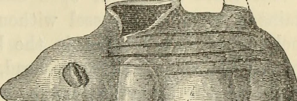 An illustration from Ilios; the city and country of the Trojans. The results of researches and discoveries on the site of Troy and throughout the Troad in the years 1871-72-73-78-79, including an autobiography of the author, 1880, leaf 406