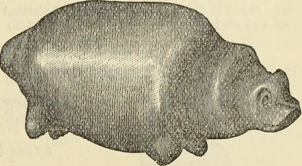 An illustration from Ilios; the city and country of the Trojans. The results of researches and discoveries on the site of Troy and throughout the Troad in the years 1871-72-73-78-79, including an autobiography of the author, 1880, leaf 406