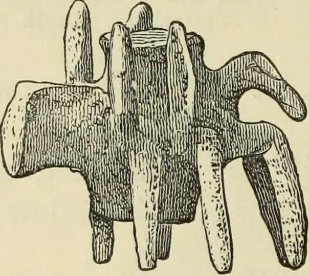An illustration from Ilios; the city and country of the Trojans. The results of researches and discoveries on the site of Troy and throughout the Troad in the years 1871-72-73-78-79, including an autobiography of the author, 1880, leaf 407