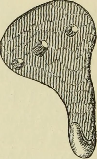 An illustration from Ilios; the city and country of the Trojans. The results of researches and discoveries on the site of Troy and throughout the Troad in the years 1871-72-73-78-79, including an autobiography of the author, 1880, leaf 407