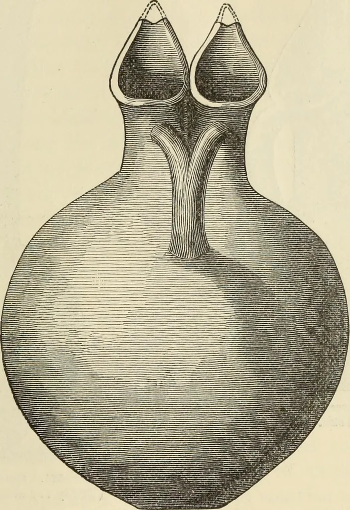An illustration from Ilios; the city and country of the Trojans. The results of researches and discoveries on the site of Troy and throughout the Troad in the years 1871-72-73-78-79, including an autobiography of the author, 1880, leaf 414