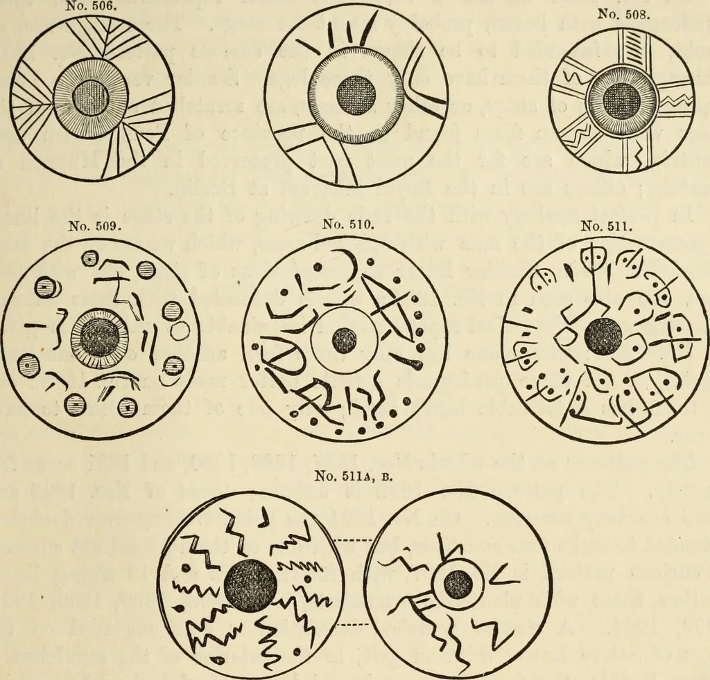 An illustration from Ilios; the city and country of the Trojans. The results of researches and discoveries on the site of Troy and throughout the Troad in the years 1871-72-73-78-79, including an autobiography of the author, 1880, leaf 446