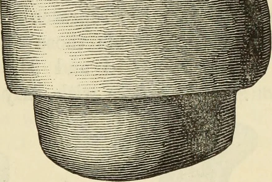 An illustration from Ilios; the city and country of the Trojans. The results of researches and discoveries on the site of Troy and throughout the Troad in the years 1871-72-73-78-79, including an autobiography of the author, 1880, leaf 452