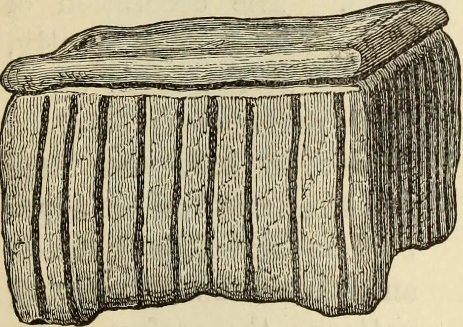 An illustration from Ilios; the city and country of the Trojans. The results of researches and discoveries on the site of Troy and throughout the Troad in the years 1871-72-73-78-79, including an autobiography of the author, 1880, leaf 452