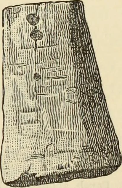 An illustration from Ilios; the city and country of the Trojans. The results of researches and discoveries on the site of Troy and throughout the Troad in the years 1871-72-73-78-79, including an autobiography of the author, 1880, leaf 456