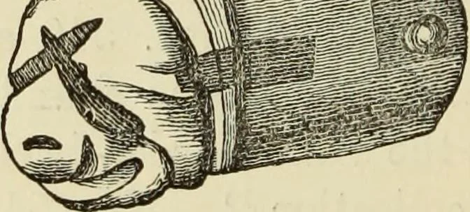 An illustration from Ilios; the city and country of the Trojans. The results of researches and discoveries on the site of Troy and throughout the Troad in the years 1871-72-73-78-79, including an autobiography of the author, 1880, leaf 457