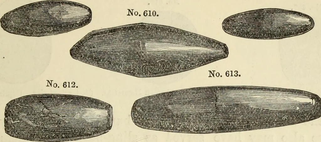 An illustration from Ilios; the city and country of the Trojans. The results of researches and discoveries on the site of Troy and throughout the Troad in the years 1871-72-73-78-79, including an autobiography of the author, 1880, leaf 466