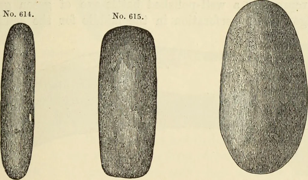 An illustration from Ilios; the city and country of the Trojans. The results of researches and discoveries on the site of Troy and throughout the Troad in the years 1871-72-73-78-79, including an autobiography of the author, 1880, leaf 466