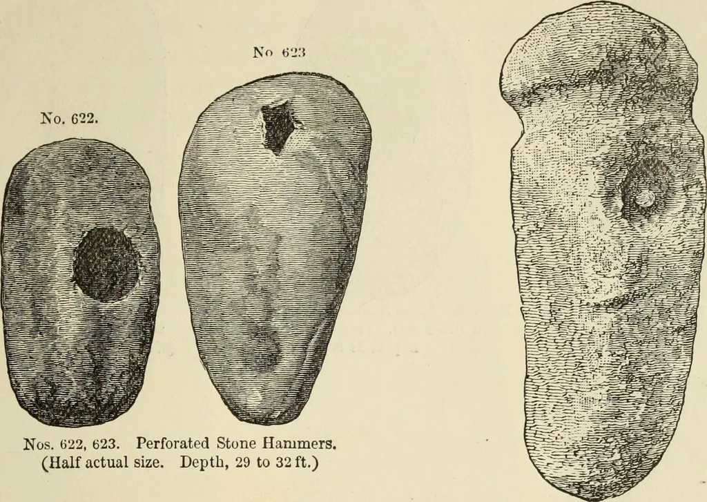 An illustration from Ilios; the city and country of the Trojans. The results of researches and discoveries on the site of Troy and throughout the Troad in the years 1871-72-73-78-79, including an autobiography of the author, 1880, leaf 468