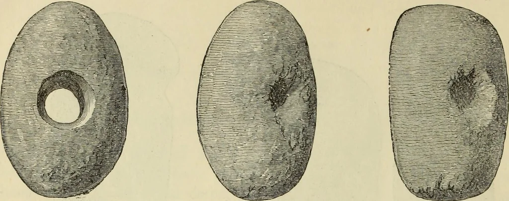 An illustration from Ilios; the city and country of the Trojans. The results of researches and discoveries on the site of Troy and throughout the Troad in the years 1871-72-73-78-79, including an autobiography of the author, 1880, leaf 469
