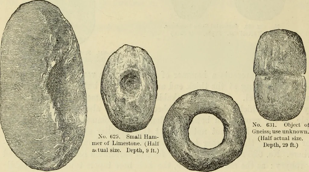 An illustration from Ilios; the city and country of the Trojans. The results of researches and discoveries on the site of Troy and throughout the Troad in the years 1871-72-73-78-79, including an autobiography of the author, 1880, leaf 469