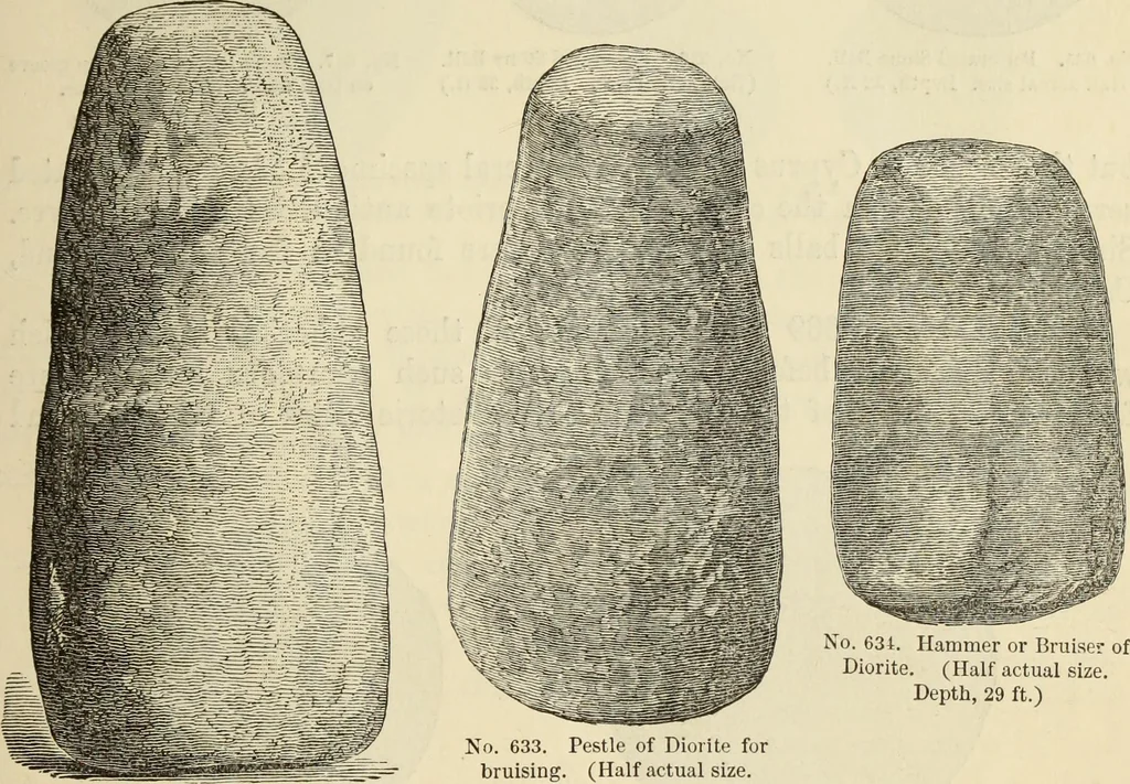 An illustration from Ilios; the city and country of the Trojans. The results of researches and discoveries on the site of Troy and throughout the Troad in the years 1871-72-73-78-79, including an autobiography of the author, 1880, leaf 470