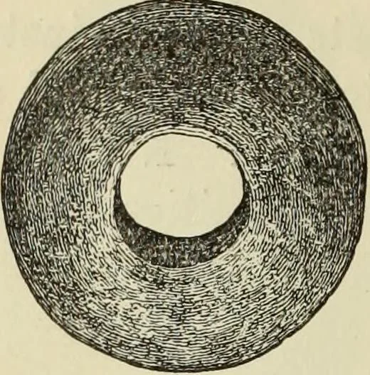 An illustration from Ilios; the city and country of the Trojans. The results of researches and discoveries on the site of Troy and throughout the Troad in the years 1871-72-73-78-79, including an autobiography of the author, 1880, leaf 471