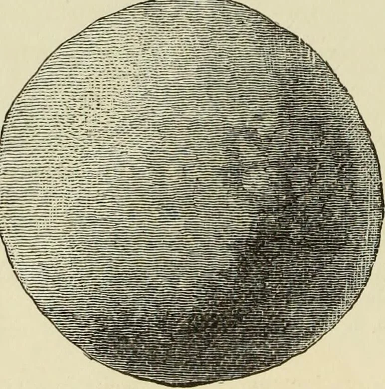 An illustration from Ilios; the city and country of the Trojans. The results of researches and discoveries on the site of Troy and throughout the Troad in the years 1871-72-73-78-79, including an autobiography of the author, 1880, leaf 471