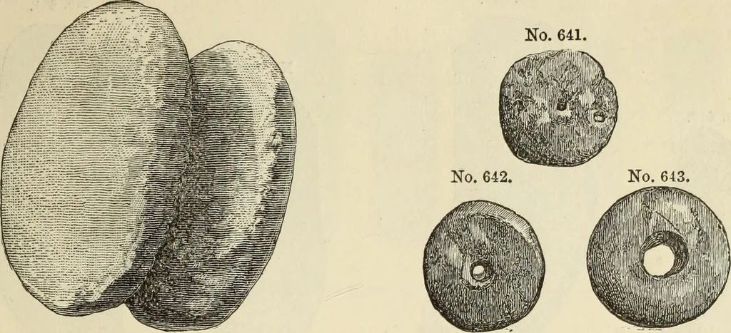 An illustration from Ilios; the city and country of the Trojans. The results of researches and discoveries on the site of Troy and throughout the Troad in the years 1871-72-73-78-79, including an autobiography of the author, 1880, leaf 472