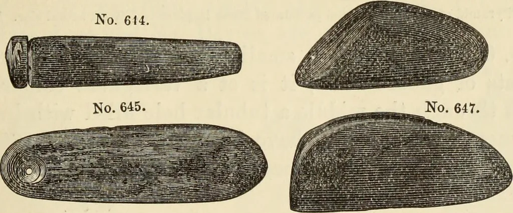 An illustration from Ilios; the city and country of the Trojans. The results of researches and discoveries on the site of Troy and throughout the Troad in the years 1871-72-73-78-79, including an autobiography of the author, 1880, leaf 472