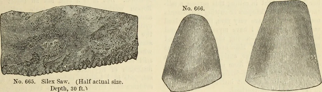 An illustration from Ilios; the city and country of the Trojans. The results of researches and discoveries on the site of Troy and throughout the Troad in the years 1871-72-73-78-79, including an autobiography of the author, 1880, leaf 474