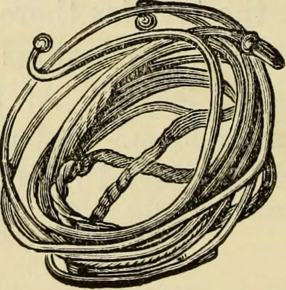 An illustration from Ilios; the city and country of the Trojans. The results of researches and discoveries on the site of Troy and throughout the Troad in the years 1871-72-73-78-79, including an autobiography of the author, 1880, leaf 487