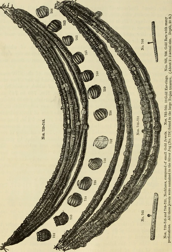 An illustration from Ilios; the city and country of the Trojans. The results of researches and discoveries on the site of Troy and throughout the Troad in the years 1871-72-73-78-79, including an autobiography of the author, 1880, leaf 491