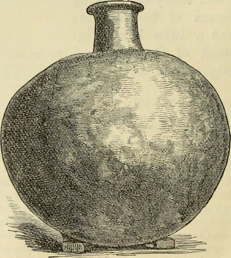 An illustration from Ilios; the city and country of the Trojans. The results of researches and discoveries on the site of Troy and throughout the Troad in the years 1871-72-73-78-79, including an autobiography of the author, 1880, leaf 495