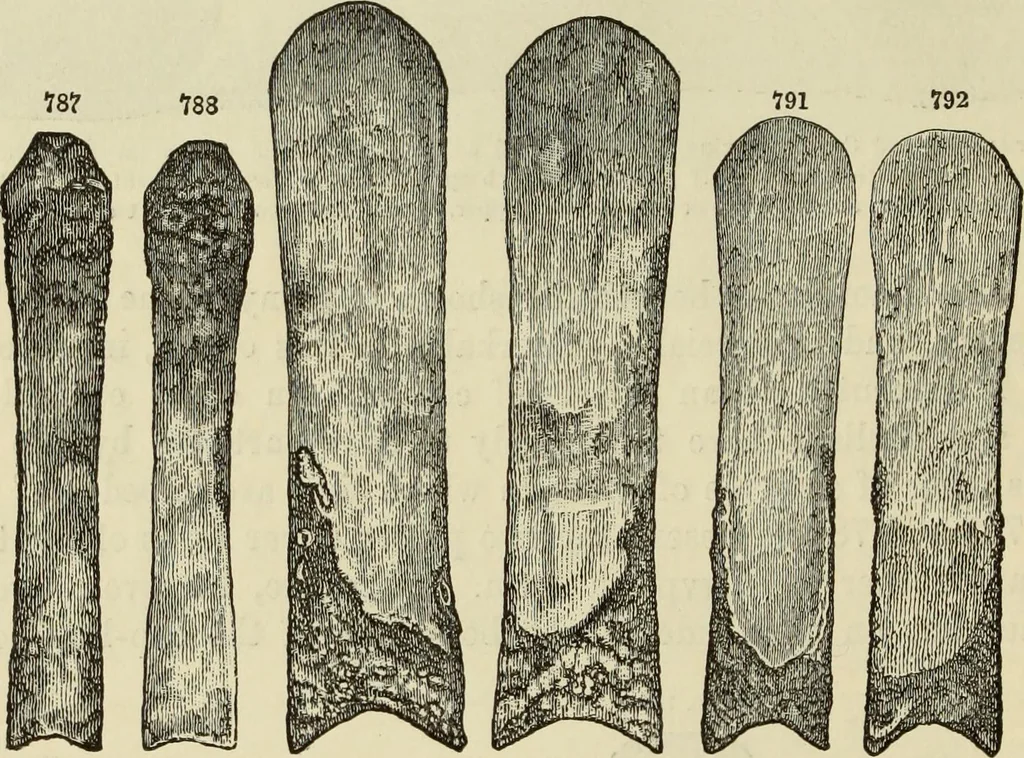 An illustration from Ilios; the city and country of the Trojans. The results of researches and discoveries on the site of Troy and throughout the Troad in the years 1871-72-73-78-79, including an autobiography of the author, 1880, leaf 499