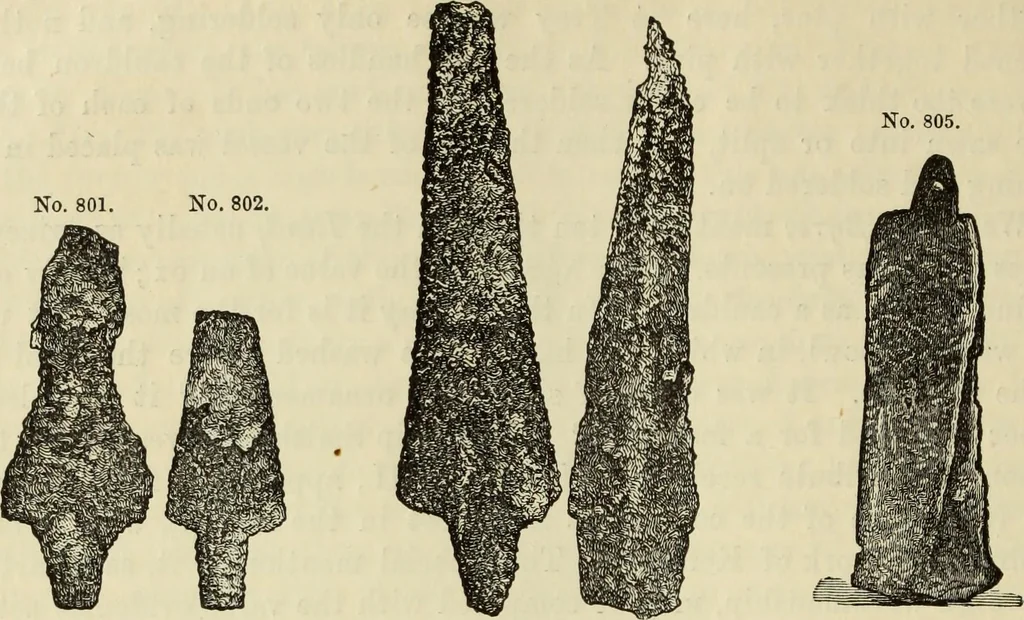 An illustration from Ilios; the city and country of the Trojans. The results of researches and discoveries on the site of Troy and throughout the Troad in the years 1871-72-73-78-79, including an autobiography of the author, 1880, leaf 505