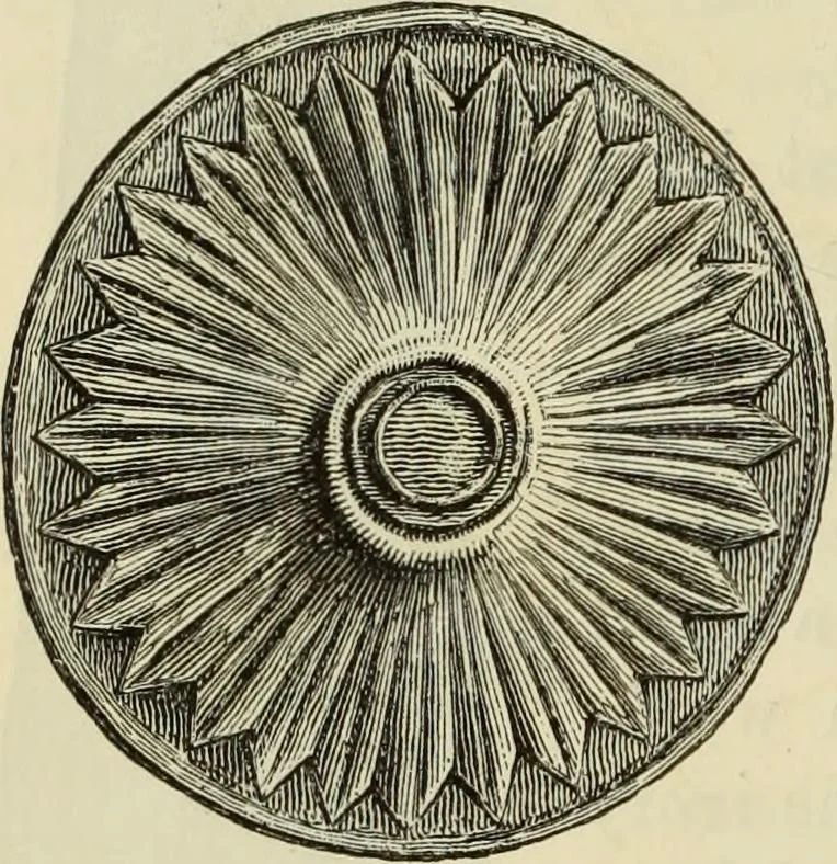 An illustration from Ilios; the city and country of the Trojans. The results of researches and discoveries on the site of Troy and throughout the Troad in the years 1871-72-73-78-79, including an autobiography of the author, 1880, leaf 529