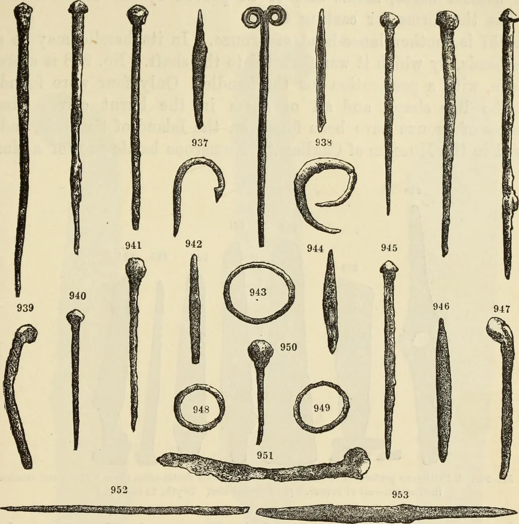 An illustration from Ilios; the city and country of the Trojans. The results of researches and discoveries on the site of Troy and throughout the Troad in the years 1871-72-73-78-79, including an autobiography of the author, 1880, leaf 534