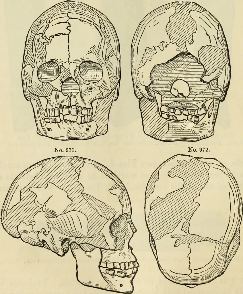 An illustration from Ilios; the city and country of the Trojans. The results of researches and discoveries on the site of Troy and throughout the Troad in the years 1871-72-73-78-79, including an autobiography of the author, 1880, leaf 537