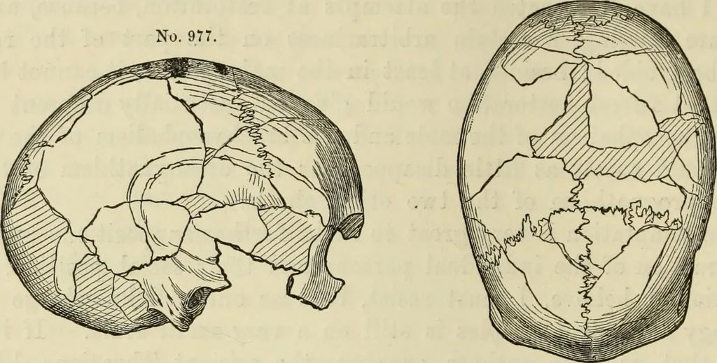 An illustration from Ilios; the city and country of the Trojans. The results of researches and discoveries on the site of Troy and throughout the Troad in the years 1871-72-73-78-79, including an autobiography of the author, 1880, leaf 541