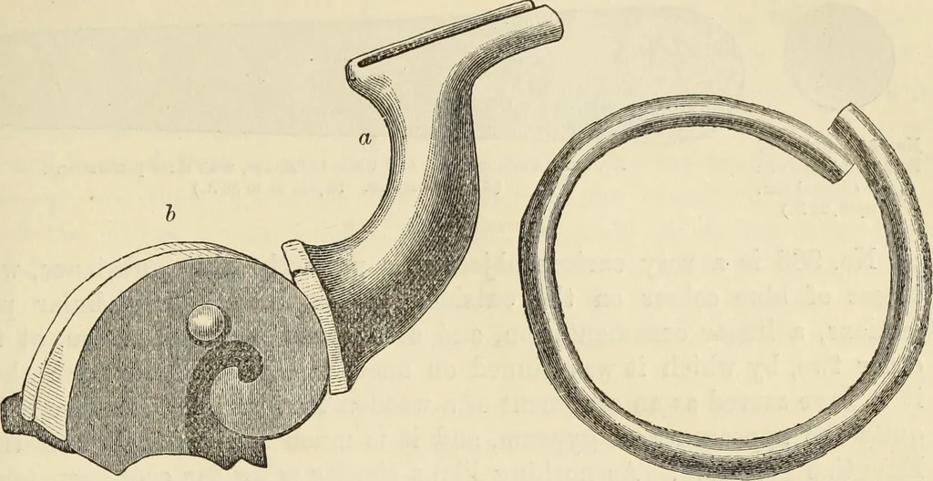 An illustration from Ilios; the city and country of the Trojans. The results of researches and discoveries on the site of Troy and throughout the Troad in the years 1871-72-73-78-79, including an autobiography of the author, 1880, leaf 542