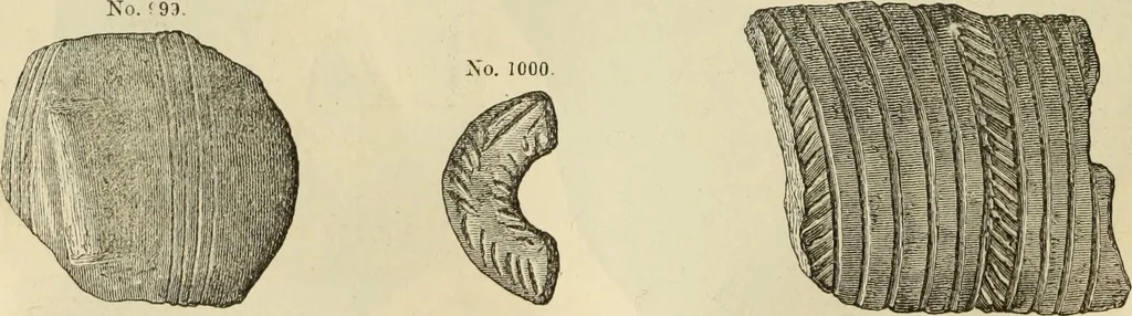 An illustration from Ilios; the city and country of the Trojans. The results of researches and discoveries on the site of Troy and throughout the Troad in the years 1871-72-73-78-79, including an autobiography of the author, 1880, leaf 553