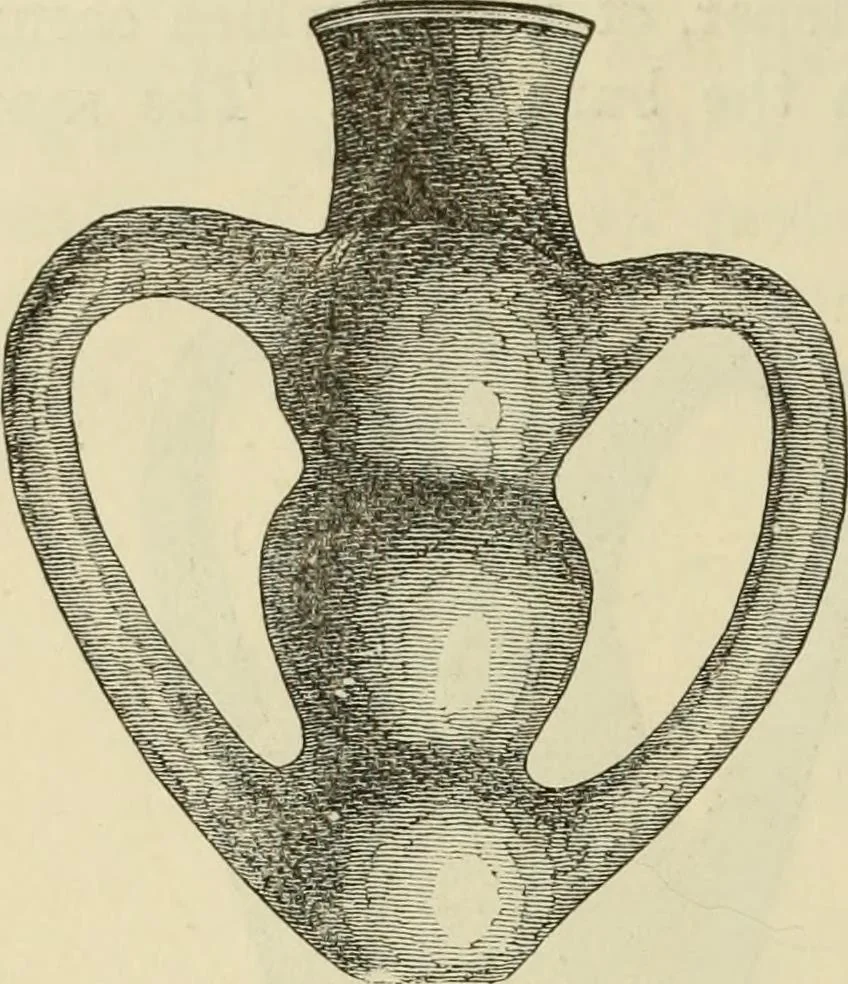 An illustration from Ilios; the city and country of the Trojans. The results of researches and discoveries on the site of Troy and throughout the Troad in the years 1871-72-73-78-79, including an autobiography of the author, 1880, leaf 565