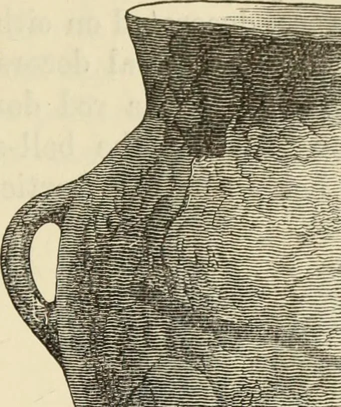 An illustration from Ilios; the city and country of the Trojans. The results of researches and discoveries on the site of Troy and throughout the Troad in the years 1871-72-73-78-79, including an autobiography of the author, 1880, leaf 570